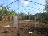 A picture of GREEN HOUSE 10 15