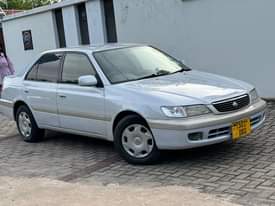 A picture of PREMIO BUKOBAA