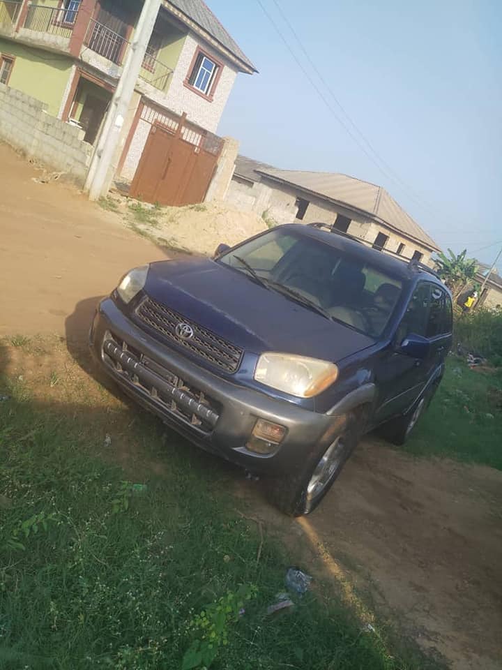 A picture of RAV4 2003