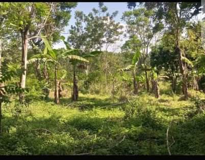 A picture of 1arce for sell at 7m only kibanja