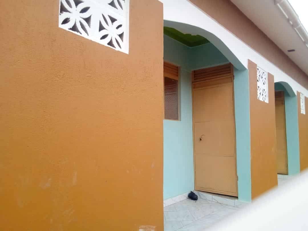 houses for rent