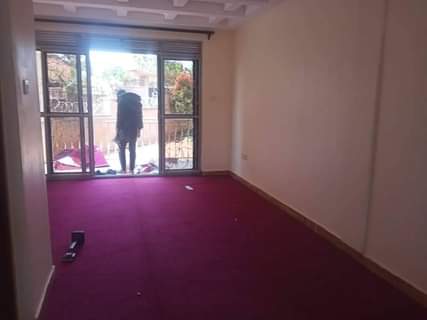 carpets