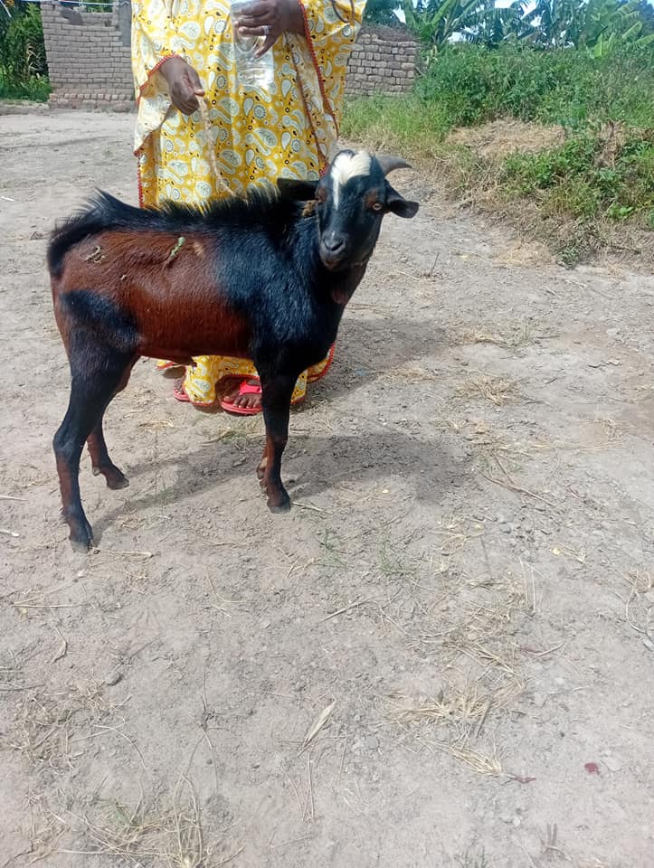 A picture of Hello wpendwa wa sikukuu ya chinja chinja kaeibuni sana call0618183445