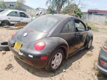 vw beetle