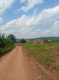 A picture of PLOTS AT 3M UGX ..30X50FT THOUGH we accept installment ..free