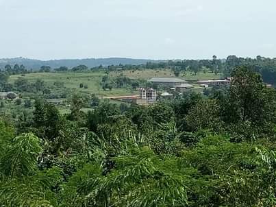 A picture of 2 Acres of private mile land title for sale 50m