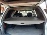 A picture of Forester