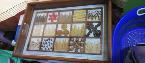 A picture of Nauza friji tray picha na microwave