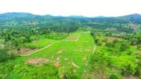 A picture of 50BY100 AT 5M GOBERO SEGAGGA ESTATE AGREEMENT LAND ENDANGANO