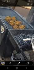 A picture of BBQ STOVES FOR SALE