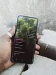 A picture of Samsung Galaxy A13