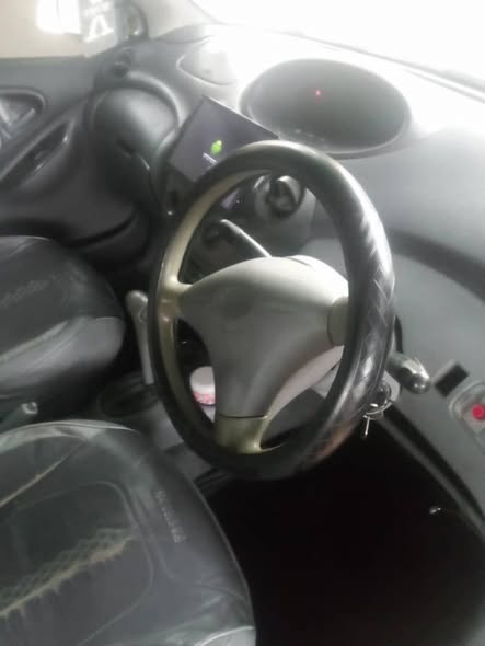 A picture of Vitz