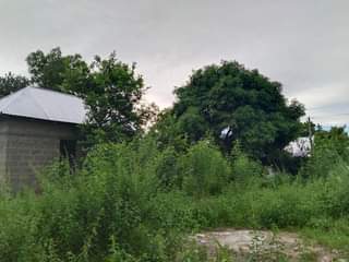 A picture of KIMBIA KODI UWAHI HIKI KIWANJA