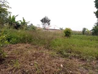 A picture of PLOT 50 100ft for sale in Nakaseke Kapeeka