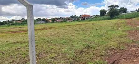 A picture of Land