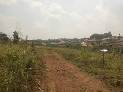 houses matugga