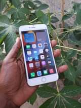 A picture of IPHONE 6S PLUS GB 64