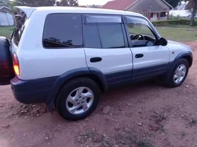 A picture of Rav4