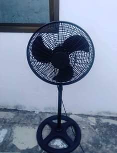 A picture of Feni