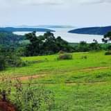A picture of 50 Acres in Mukono Nkokonjeru Ssi Village