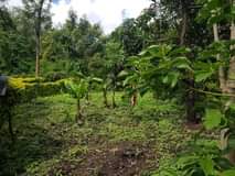 A picture of Nyumba na Kiwanja chake