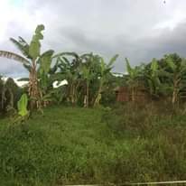 A picture of Land in rurama