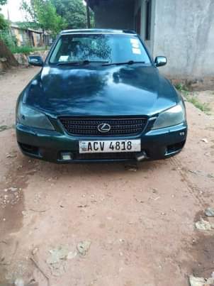 used toyota altezza