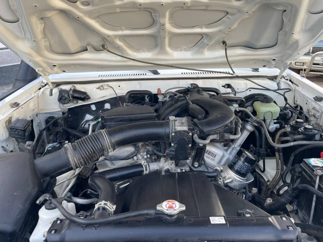 A picture of 2020 model Landcruiser buffalo