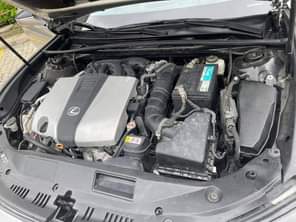 A picture of New Arrival followers and lover s of ShaggyMOTORS highlight ShaggyMottorlink