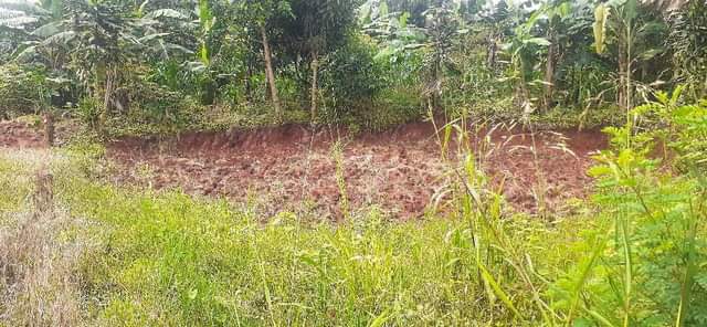 A picture of Land for sale on agreement