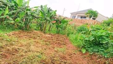 A picture of Plot