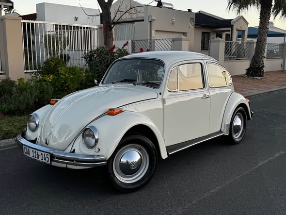 vw beetle