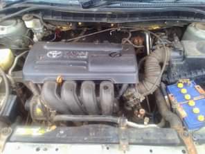 A picture of 13m 0743386797