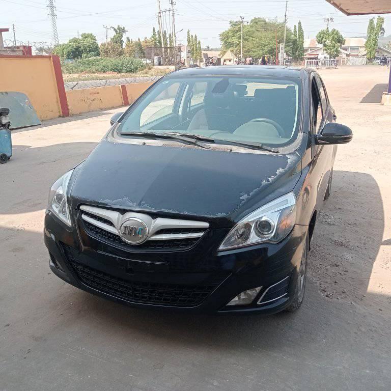 A picture of IVM fox