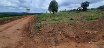 A picture of OWN PROPERTY OWN WEALTH 256750485024