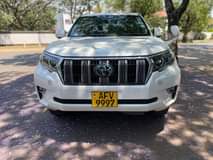 diesel engine vehicles