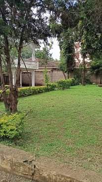 A picture of NYUMBA YA KUPANGA