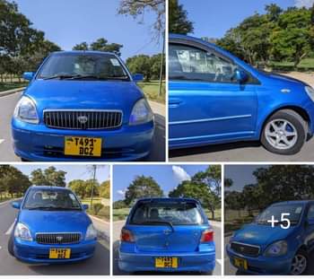 A picture of Vitz