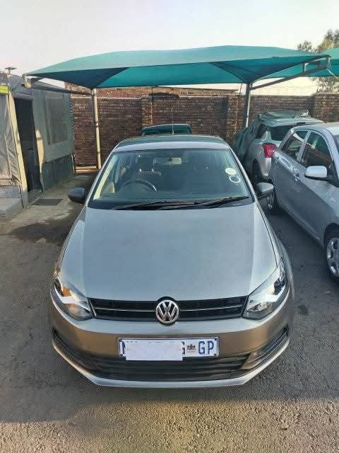polo vivo