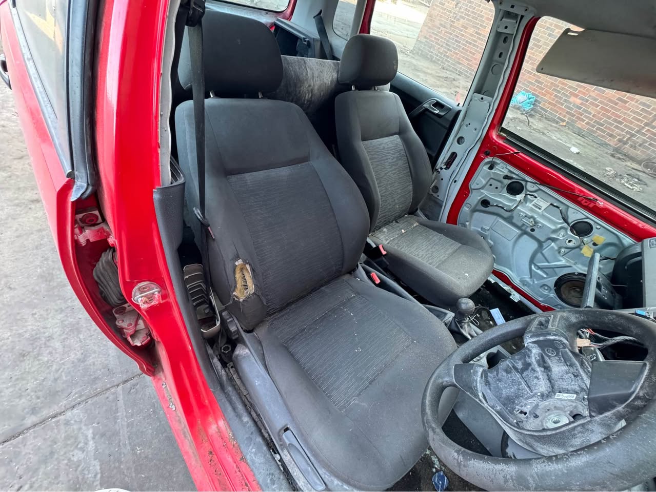 polo vivo