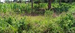 A picture of 1 acre for sale at 72m 2km from Busiika town