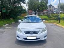 A picture of 2009 TOYOTA COROLLA PROFESSIONAL