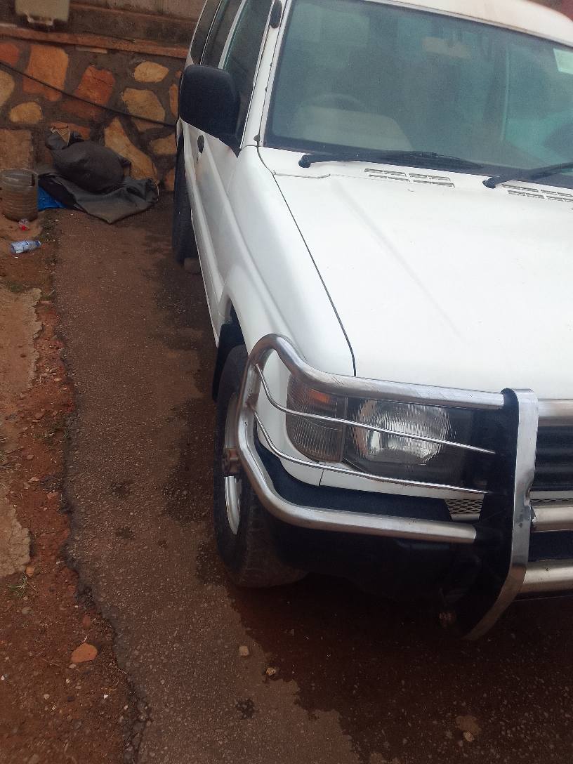A picture of Pajero