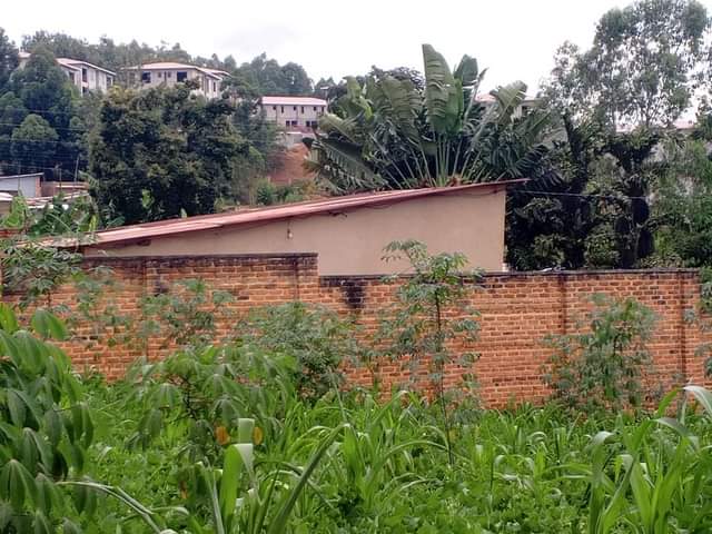 kagugu accommodation