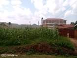 A picture of 25 Decimals 100 100 in Entebbe City at 85m with
