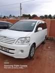A picture of NOAH on quick sale Urgent money needed I UBB 20m