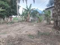 A picture of VINAUZWA MILIONI 23 00 000