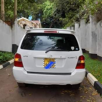 A picture of Kluger at 22m call 0703457898