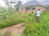 A picture of CHEAP PLOTS