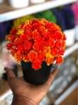 A picture of ARTICIAL FLOWERS